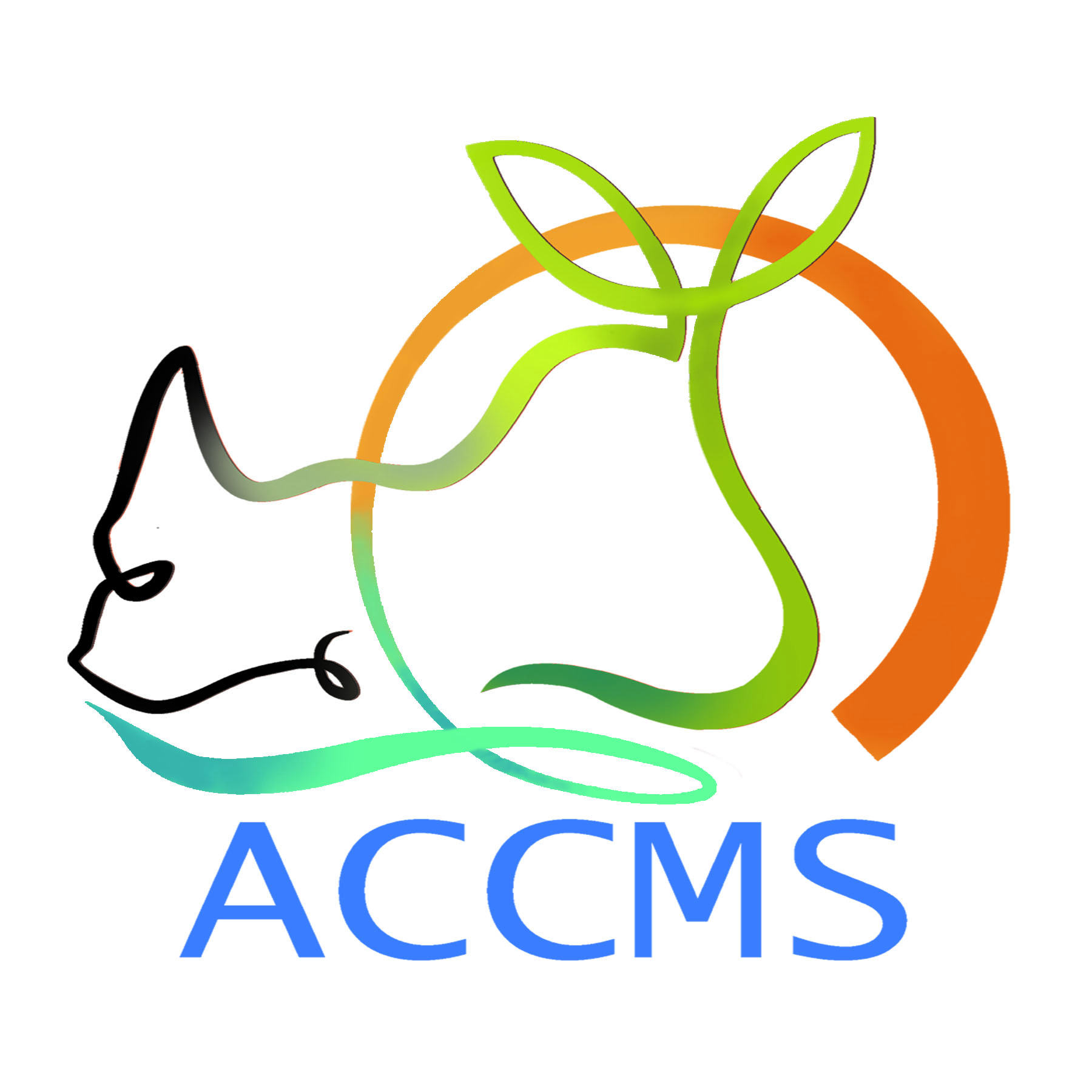 ACCMS
